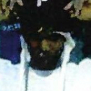 Leon  Platt