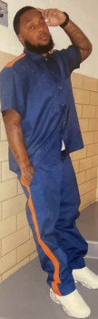 Anthony Wayne Palm