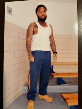 Anthony Wayne Palm
