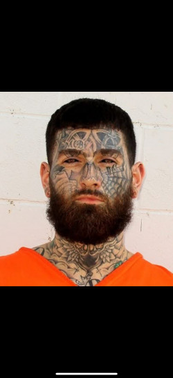 Brandon L Merrill