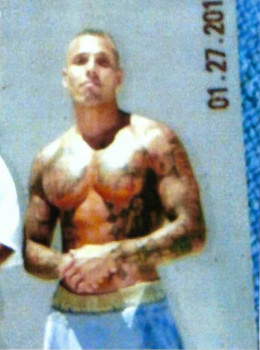 Jesse  Vega