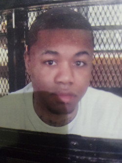 Brandon  Hamilton