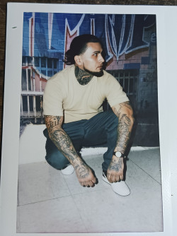 Tommy  Kraft