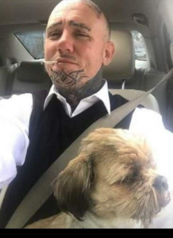 Daniel T Poynor