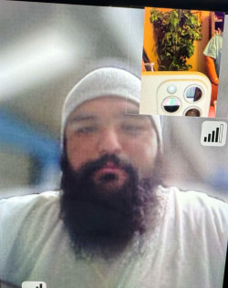 Alexander  Angulo Jr