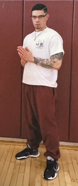 Luis M Navedo