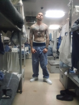 Michael J Nuzzo
