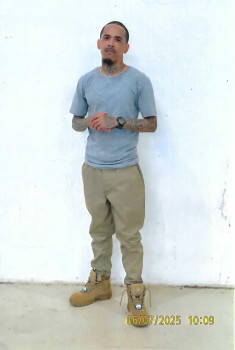 Tashan L. Layton