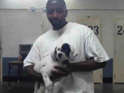 John Davis Cherry Jr