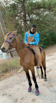 Jermicheal Lynn Harrell