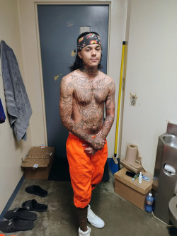 Henry Augustus Quarles