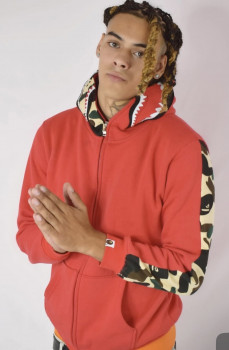 Enrique J Espinoza-Mendoza