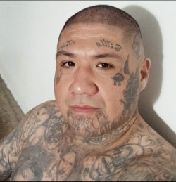 Ricardo  Guajardo Jr