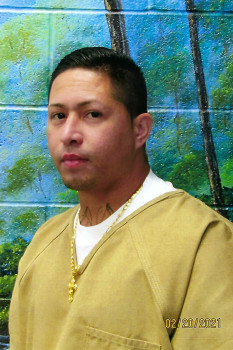 Keli'i Balai Acasia
