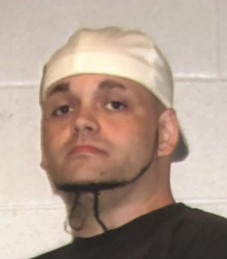 Derek L Collier
