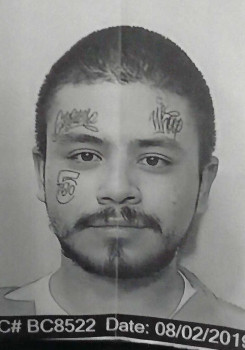 Moises  Sumale