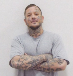 Matthew Jerald Steele